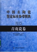 中国古陶瓷鉴定标本参考图典 青花瓷卷