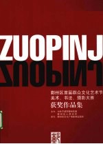 鄞州区首届群众文化艺术节美术、书法、摄影大赛获奖作品集