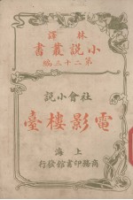 电影楼台 社会小说