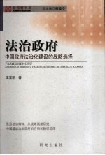 法治政府 中国政府法治化建设的战略选择