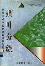 烟叶分级