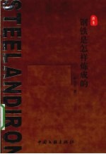 钢铁是怎样炼成的