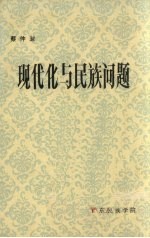 现代化与民族问题