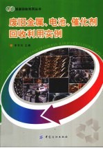 废旧金属、电池、催化剂回收利用实例