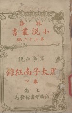 黑太子南征录 军事小说卷 下