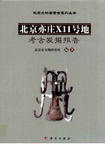 北京亦庄X11号地考古发掘报告