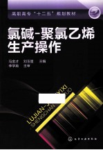 氯碱-聚氯乙烯生产操作