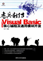 老兵新传 Visual Basic核心编程及通用模块开发