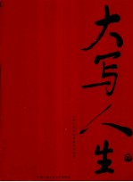 大写人生 三十六位公安英模采访实录