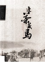 茶马古道文化遗产保护(雅安)研讨会论文集 边茶藏马