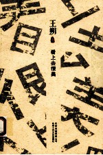 王朔文集 看上去很美