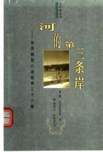 河的第三条岸 世界精短小说经典三十八篇