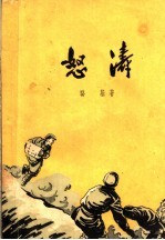 恕涛