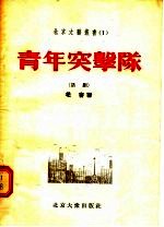 青年突击队 话剧