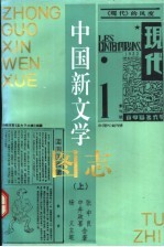 中国新文学图志 上