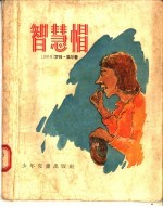 智慧帽 和其他故事十三篇