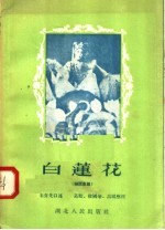 白莲花 神话喜剧