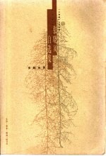 张晓风自选集
