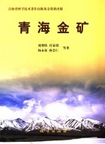 青海金矿