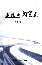 未熄的闪光点