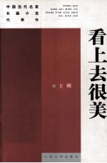 中国当代名家长篇小说代表作 看上去很美