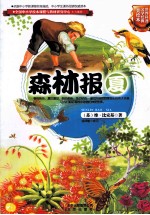 世界科普文学经典美绘本 森林报 夏