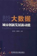 大数据 城市创新发展新动能