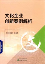 文化企业创新案例解析