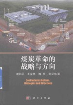 煤炭革命的战略与方向