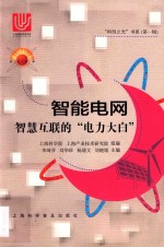 智能电网 智慧互联的“电力大白”