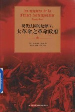 现代法国的起源 4 大革命之革命政府