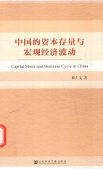 中国的资本存量与宏观经济波动