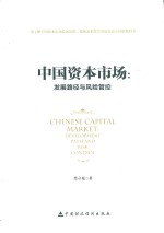 中国资本市场 发展路径与风险管控