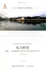 电力转型 风能、太阳能和灵活电力系统的经济性