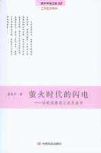 诗歌观察笔记或反省书 萤火时代的闪电
