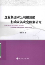 企业集团对公司绩效的影响及其决定因素研究