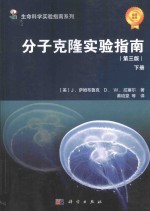 分子克隆实验指南 下