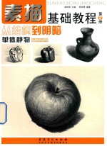 素描基础教程 第2册 从结构到明暗 单体静物