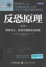 国家安全战略研究丛书 反恐原理