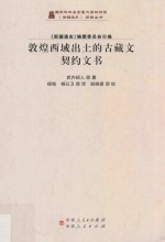 新疆通史翻译丛书 敦煌西域出土的古藏文契约文书