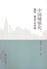 中国城镇化 路径 驱动力与作用