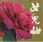 女儿妆 菏泽牡丹肖像