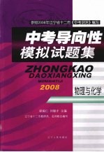 中考导向性模拟试题集 物理与化学