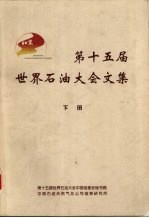 第十五届世界石油大会文集 (下册)