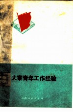 大寨青年工作经验