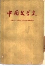 中国文学史 2