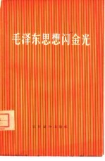毛泽东思想闪金光