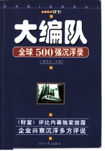 大编队 全球500强沉浮录