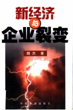 新经济与企业裂变