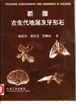 新疆古生代地层及牙形石